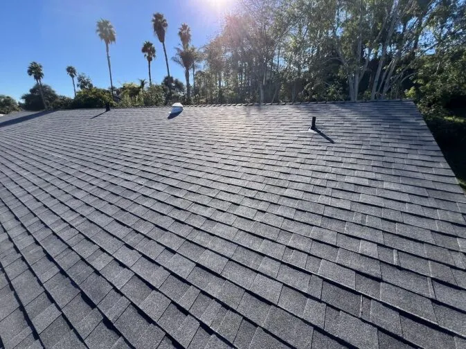 A sunlit asphalt shingle roof with two vent pipes, surrounded by palm trees and dense greenery in the background.