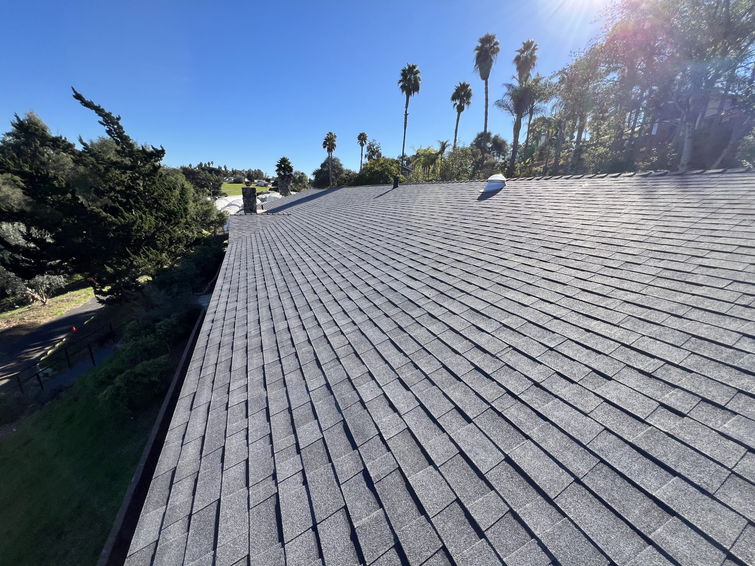 A wide view of a gray shingled roof under clear blue sky, with trees and palm trees in the background.